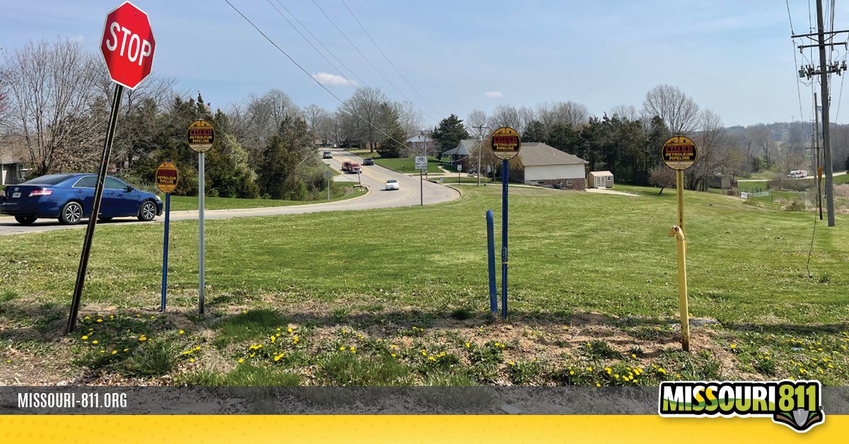 Mo811_Blog_February2026_Images