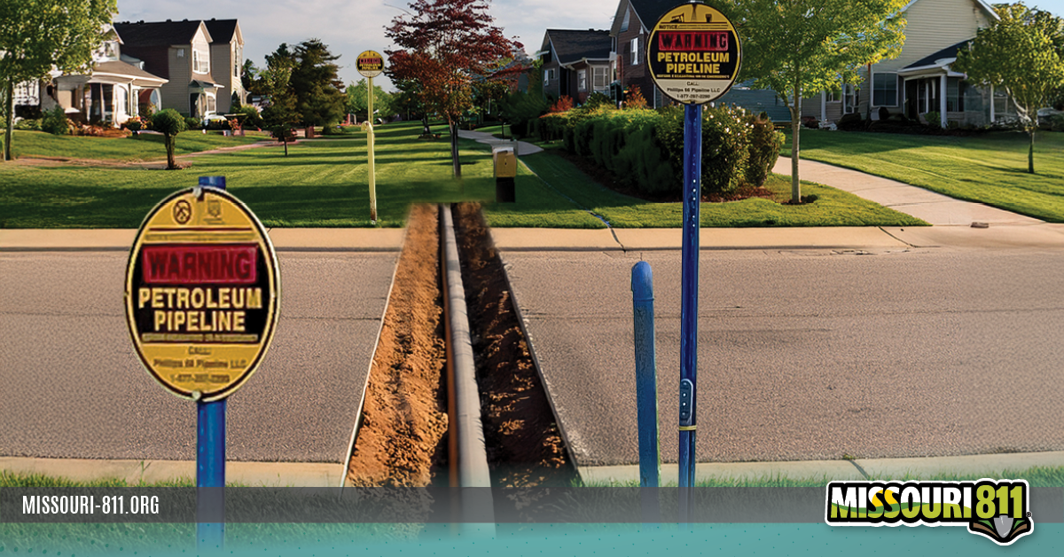 Mo811_Blog_February2026_Images2